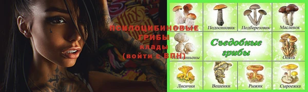 гидра Канск