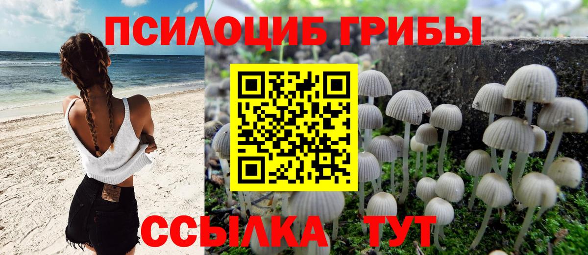 Псилоцибиновые грибы Psilocybe  Вход с VPN  Галлюциногенные грибы Cubensis  Сафоново 
