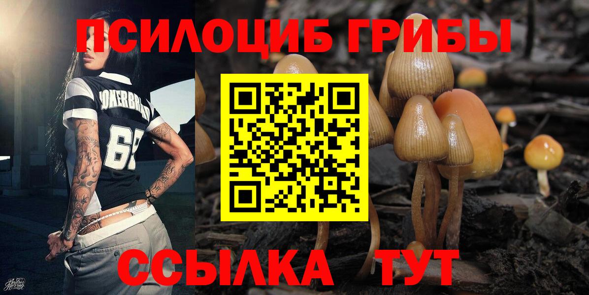 Бошки Шишки Сафоново